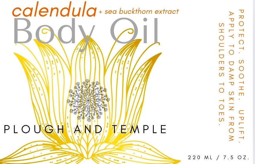 Calendula + Sea Buckthorn Body Oil